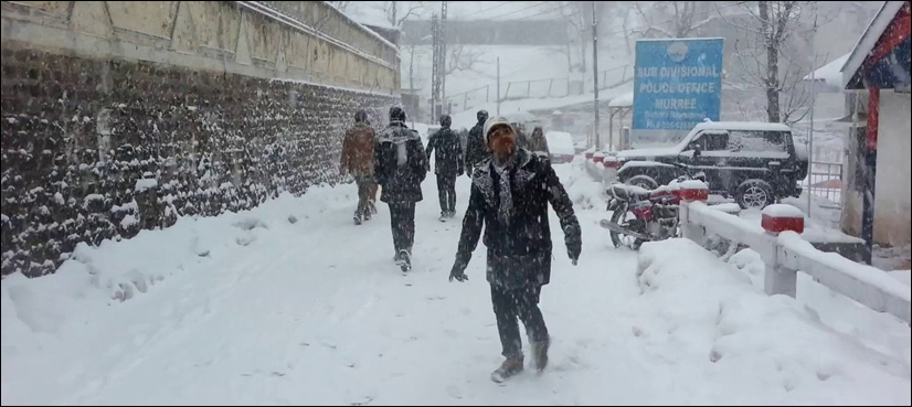 snow
