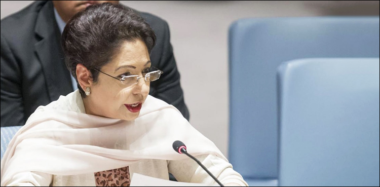 Maleeha Lodhi