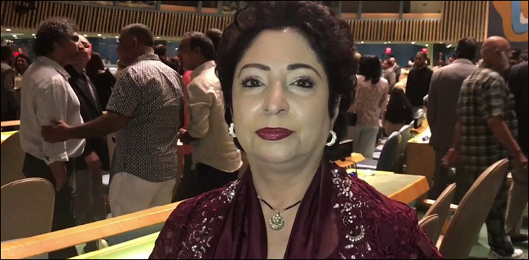 Maleeha Lodhi