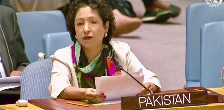 Maleeha Lodhi