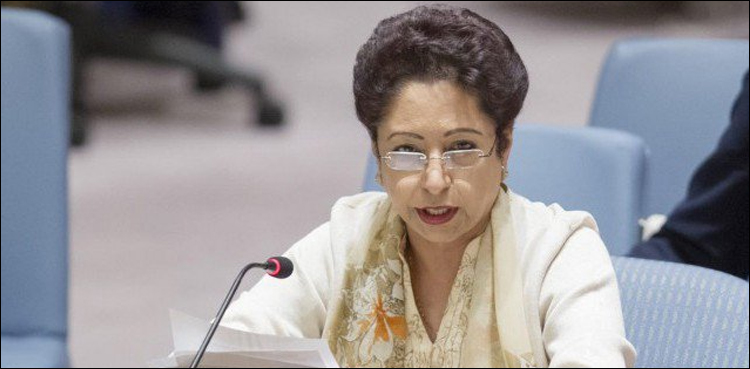 Maleeha Lodhi
