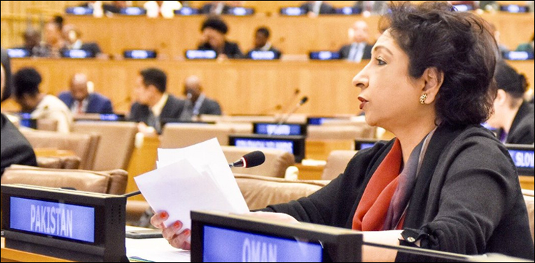 Maleeha Lodhi