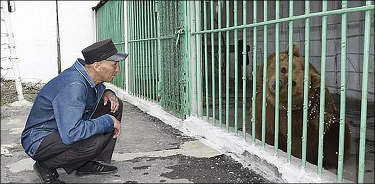 Bear serves life sentence