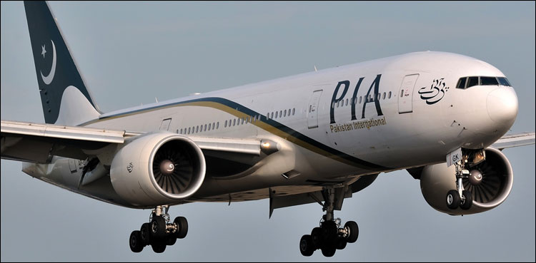 چھ ایئربس 310 طیاروں