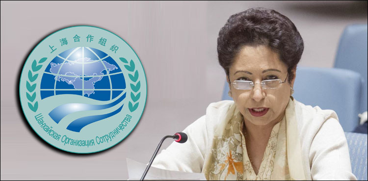 ملیحہ لودھی