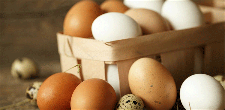 انڈے