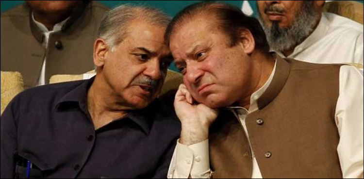 نیب