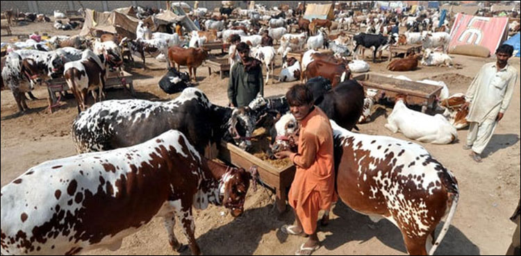 مویشی منڈیاں