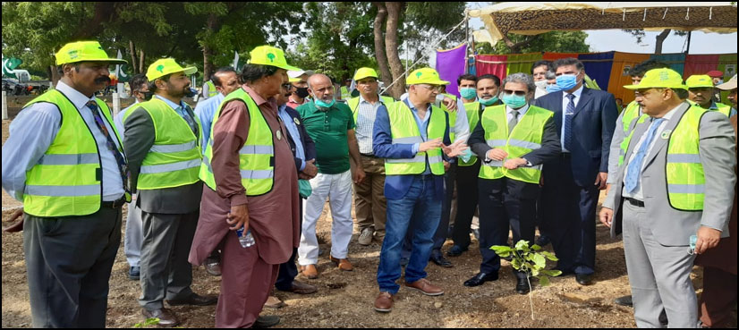 سی اے اے کی شجر کاری مہم