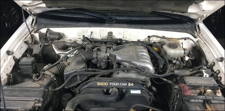 Horrible creatures take over car engine (watch video)