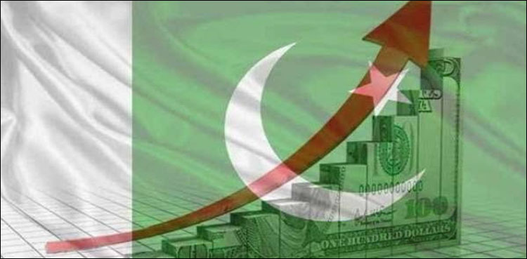 پاکستانی معیشت