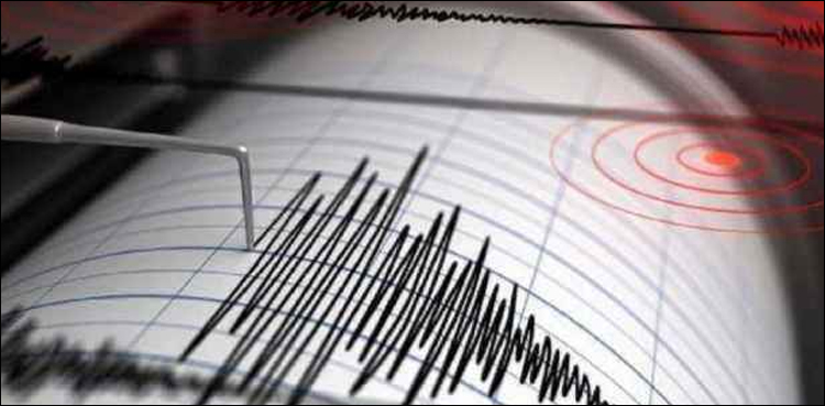 لوئر دیر اور ضلع مہمند میں زلزلے کے شدید جھٹکے thumbnail