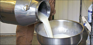 کراچی میں دودھ کی قیمت میں اضافہ کر دیا گیا
