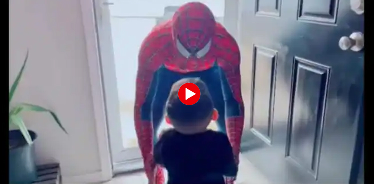 Spider Man Viral video of child's reaction to seeing Spider-Man at home |  PiPa News