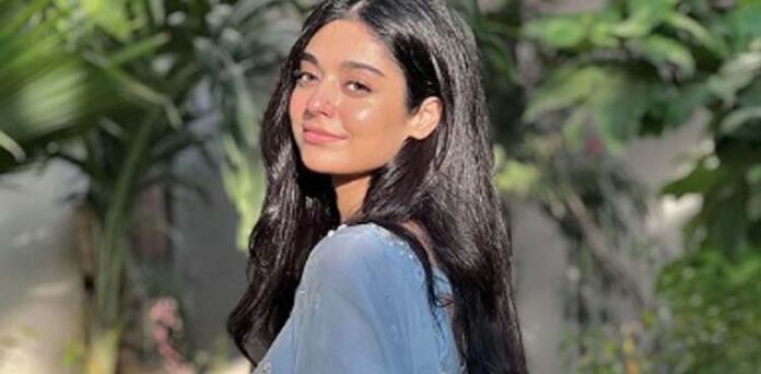 نور ظفر خان