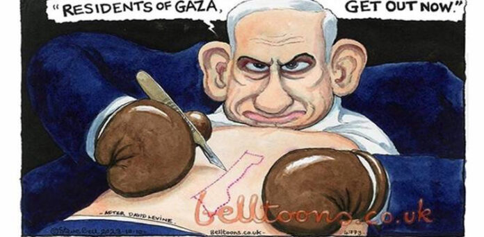 کارٹونسٹ