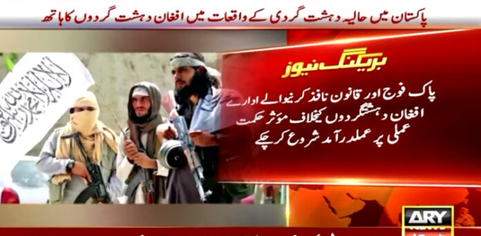 افغان دہشت گردوں
