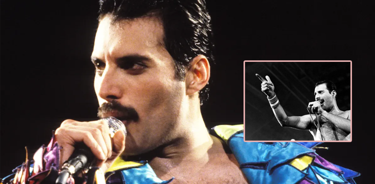 Freddie Mercury : Prince de la « Reine » –