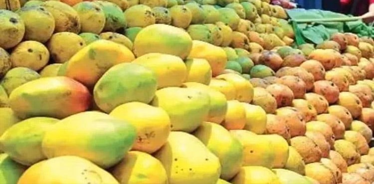 آم کی پیداوار اور برآمدات، پاکستان کو بڑا دھچکا