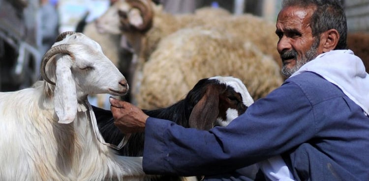 پاکستان میں عیدالاضحیٰ کس تاریخ کو ہوگی؟ ممکنہ تاریخ سامنے آگئی