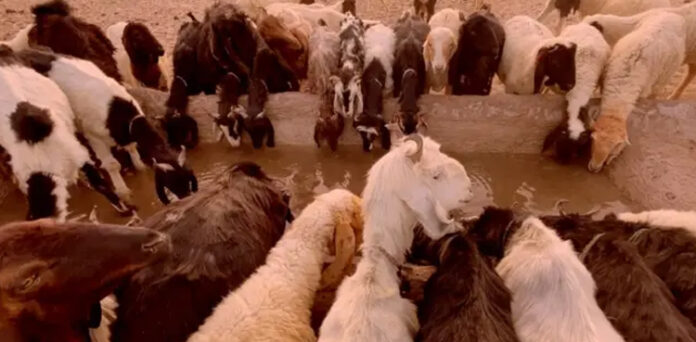 لسبیلہ آسمانی بجلی