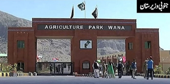 وانا ایگریکلچر پارک: حکومت کیوں اس سہولت سے فائدہ نہیں اٹھاتی؟
