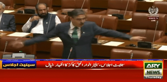 انوار الحق کاکڑ سینیٹ میں برہم: کیا یوٹیوب چینل کھول لیں؟