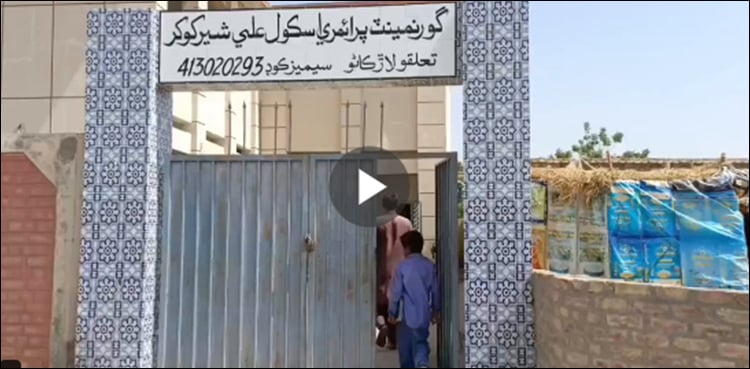 نوڈیرو پرائمری اسکول پیاز ہیڈ ٹیچر