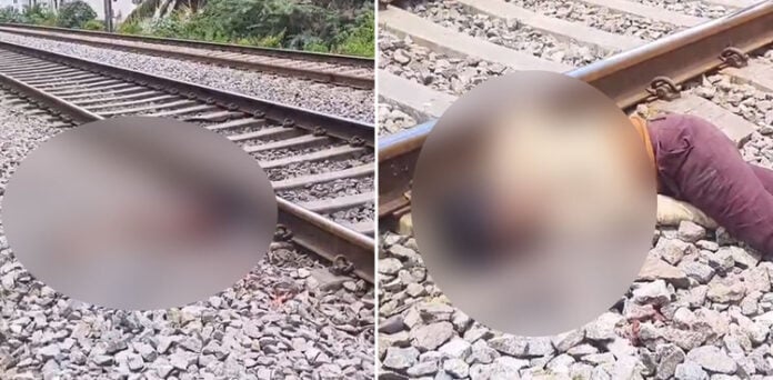 قربانی کے بکروں کیلیے چارہ لینے گئے دو بھائی ٹرین کی ٹکر سے جاں بحق