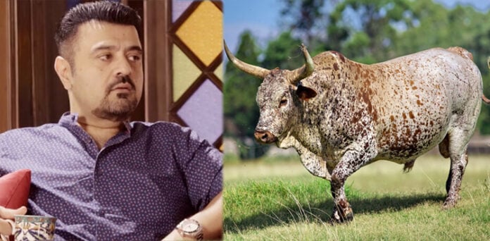 احمد بٹ