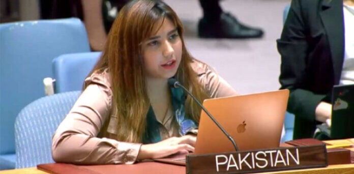 پاکستان کا اقوام متحدہ کی سلامتی کونسل میں بھارت کو کرارا جواب
