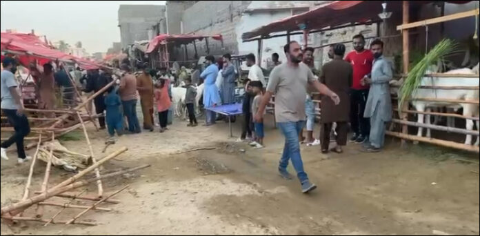 کراچی مویشی منڈیاں ختم