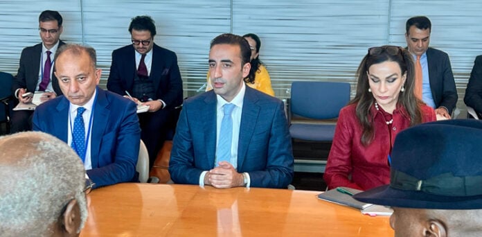 پاکستانی سفارتی مشن