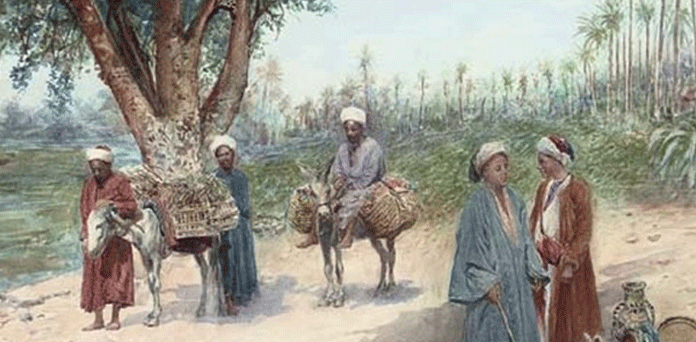 خچر گھوڑا عرب تاجر بار برداری