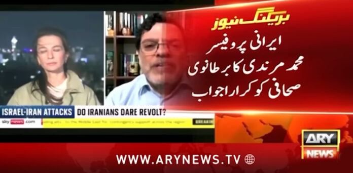 ایرانی پروفیسر