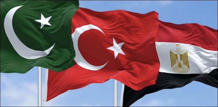 پاکستان اور ترکیہ کے ساتھ مل کر کشیدگی کم کرنے کی کوشش کر رہے ہیں، مصر