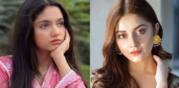 علیزے شاہ، عینا آصف کی حمایت میں سامنے آگئیں