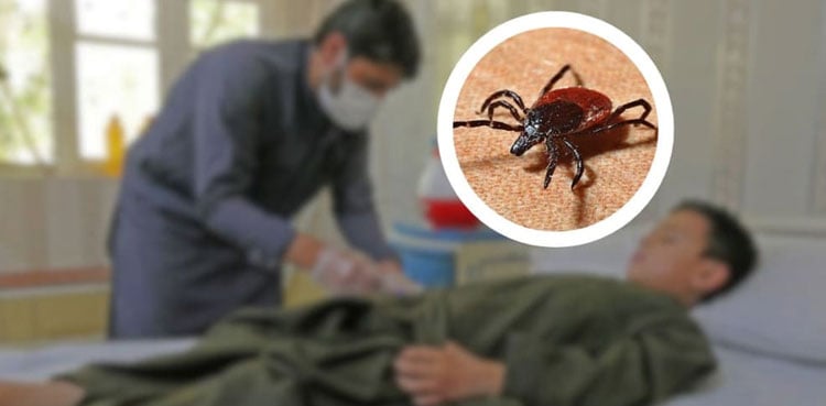 عیدالاضحیٰ سے قبل کانگوو ائرس کے خطرات بڑھنے لگے