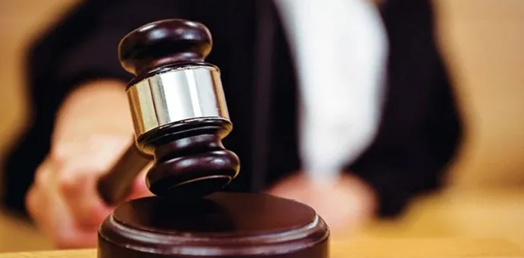 وزیراعظم شہباز شریف کی بیٹی اور داماد کی ضمانت منظور