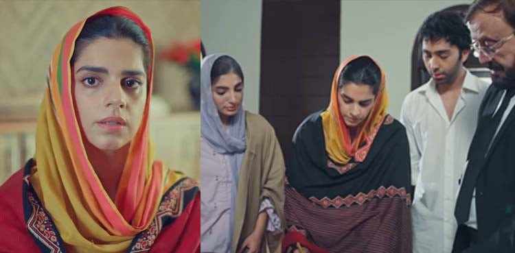 ’کفیل‘ میں زیبا کی ’خلع‘ نے خواتین کو جذباتی کردیا