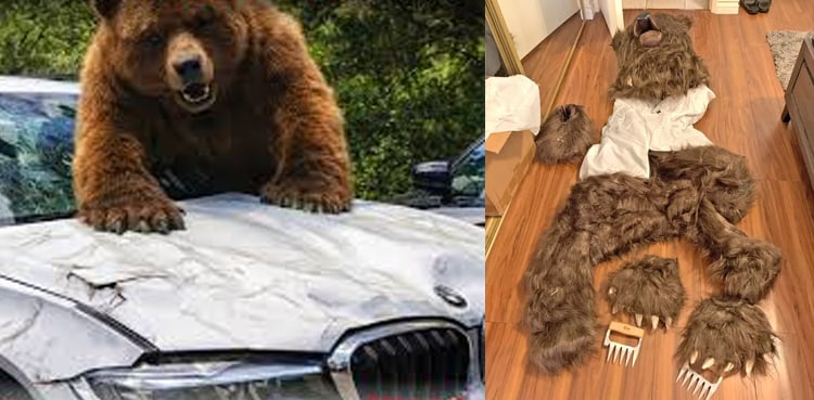 قیمتی گاڑیوں پر حملہ کرنے والا دھوکہ باز’ریچھ‘ ساتھیوں سمیت گرفتار