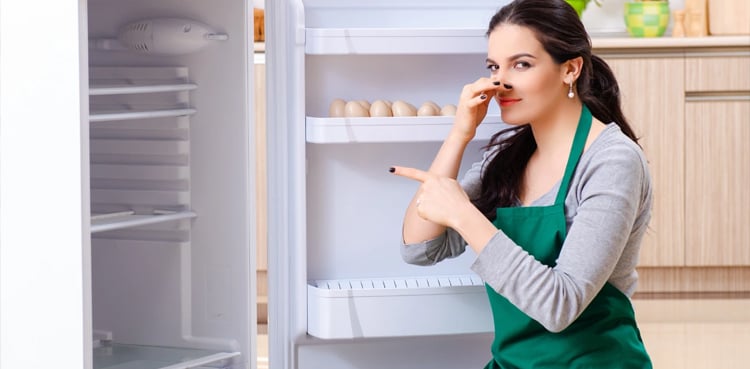 فریج کی بدبو سے نجات کا آسان اور کم خرچ طریقہ