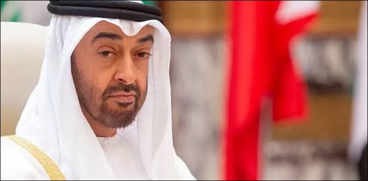 صدر امارات شیخ محمد بن زاید کو ٹرمپ اور محمد بن سلمان کا ٹیلیفون