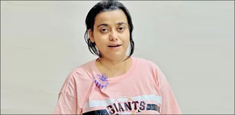 پنکی ایپسٹین فائلز کا پاکستانی ورژن ہے، وزیر دفاع