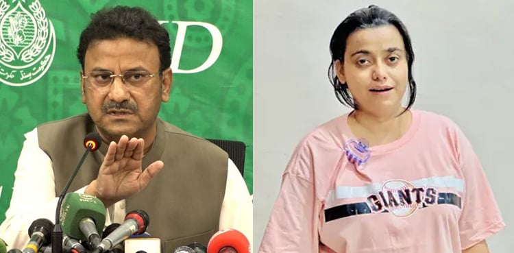 انمول عرف پنکی کے گاہکوں کی لسٹ ہمارے پاس آ چکی ہے، وزیر داخلہ سندھ
