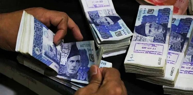 کیا بجٹ میں تنخواہ دار طبقے کو ریلیف ملے گا؟ وزیر مملکت برائے خزانہ کا اہم بیان