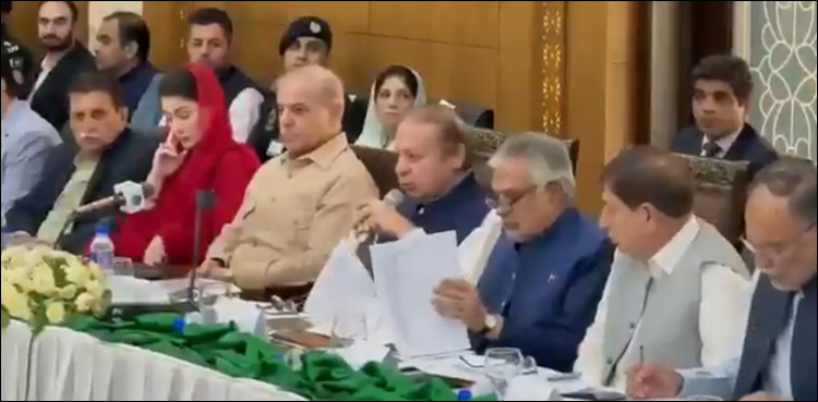 مسلم لیگ ن نے جی بی الیکشن کے لیے پارٹی ٹکٹس جاری کر دیے
