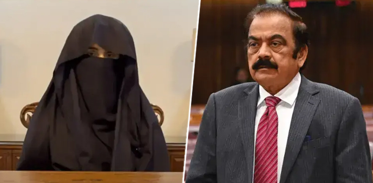 بشریٰ بی بی کا علاج جیل حکام کی ذمہ داری ہے جو کہ بہتر انداز میں کیا جا رہا ہے، رانا ثنا اللہ