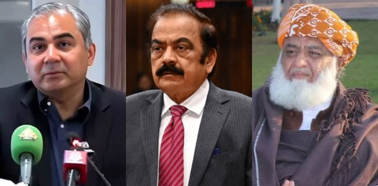 کیا محسن نقوی کا حالیہ بیان مولانا فضل الرحمان کے بارے میں ہے؟ رانا ثنا اللہ نے بتا دیا
