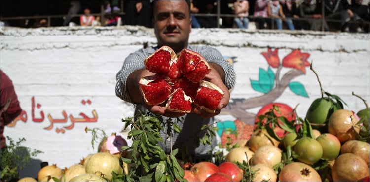 شام: انار کی فصل نے شامیوں کو مشکل میں ڈال دیا